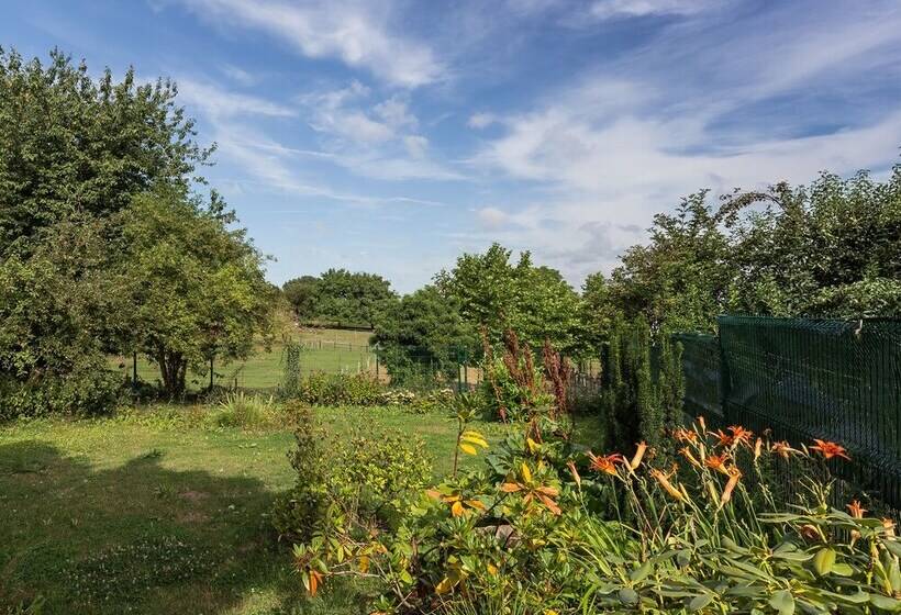 Пансион Rectoversovv