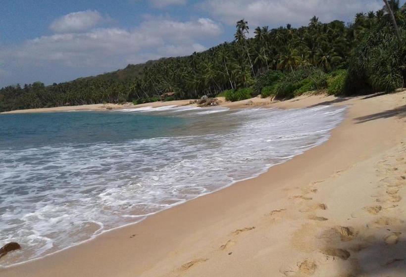 ペンション Sea Breeze Garden