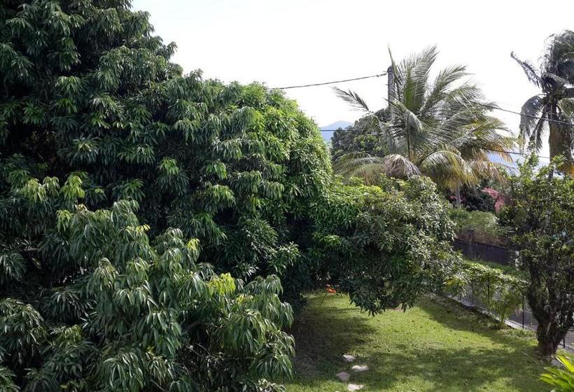 پانسیون Appartement Les Bougainvilliers Vue Mer