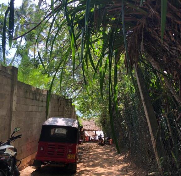 ペンション Eden Reverie Deluxe Rooms And Spa