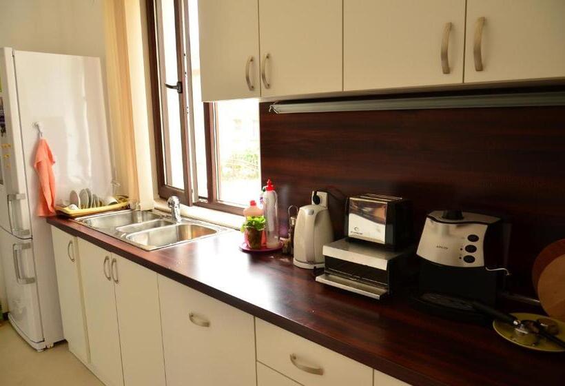 膳宿费 Guest House Nocturno