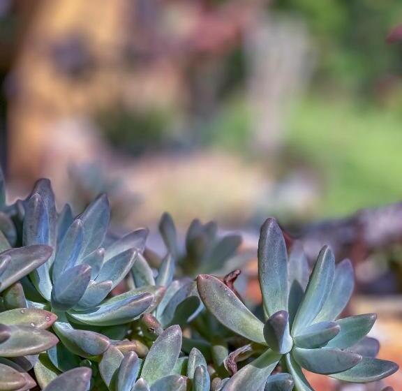 Pensjonat Pousada Grande Pedreira