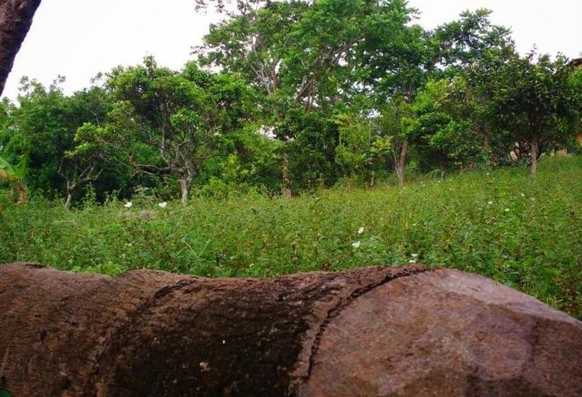 펜션 Pousada Vaca Brava