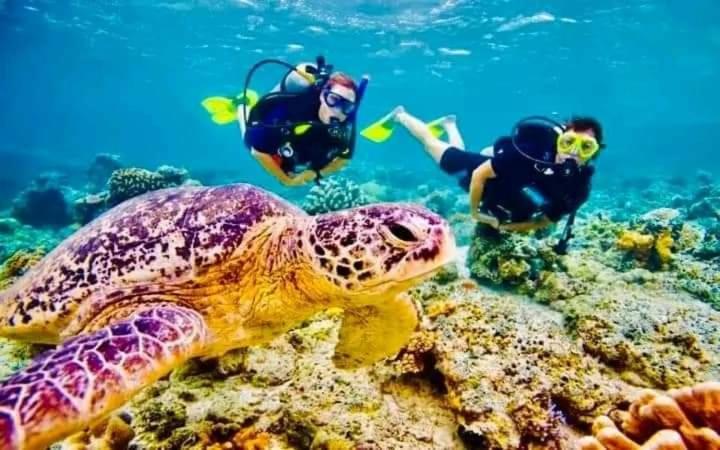 پانسیون Shasee Rest Mirissa