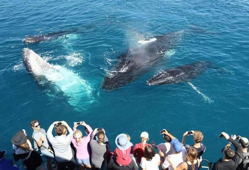 پانسیون Shasee Rest Mirissa