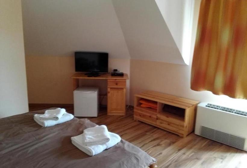 Pension Vidor Vendégház