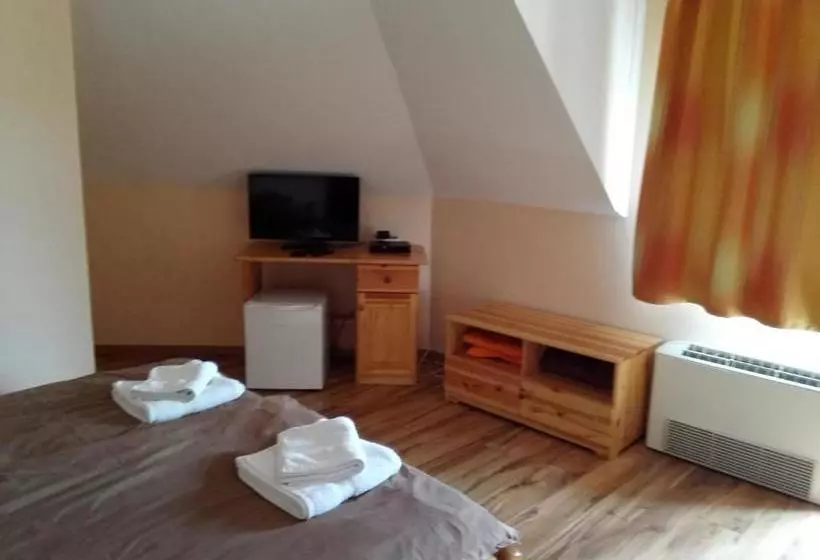 ペンション Vidor Vendégház