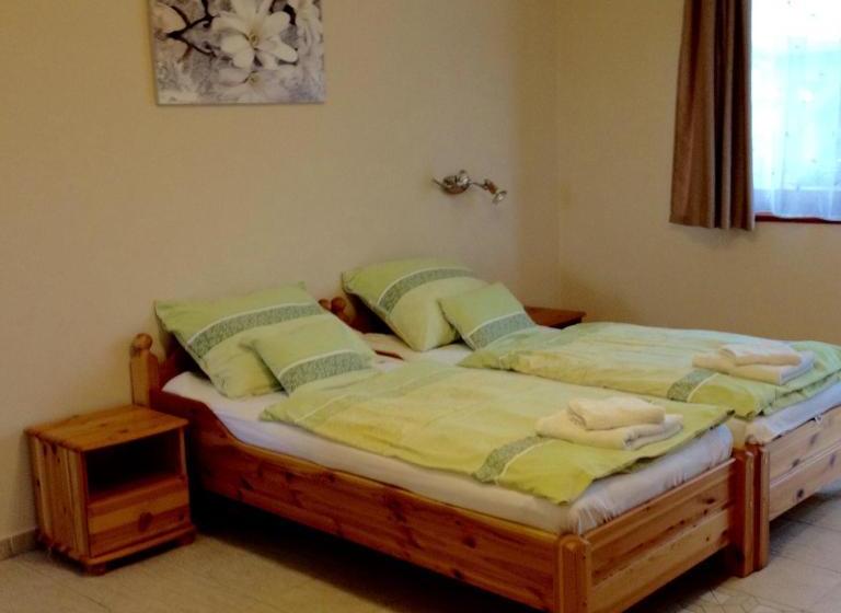 Pension Vidor Vendégház