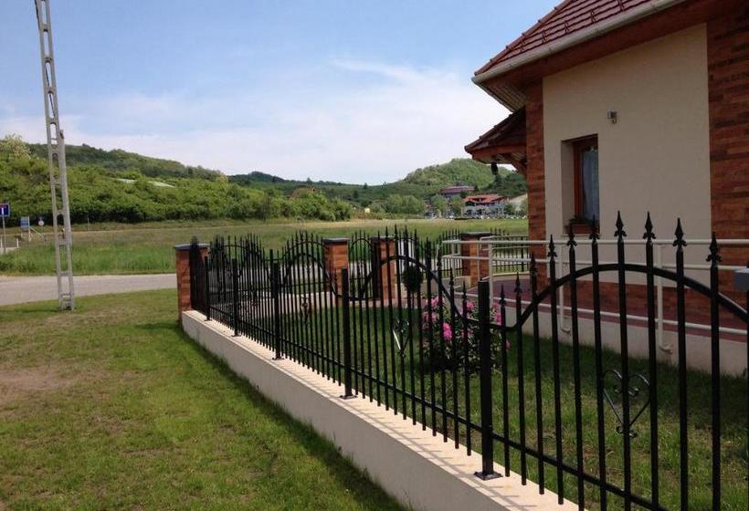 Pension Vidor Vendégház