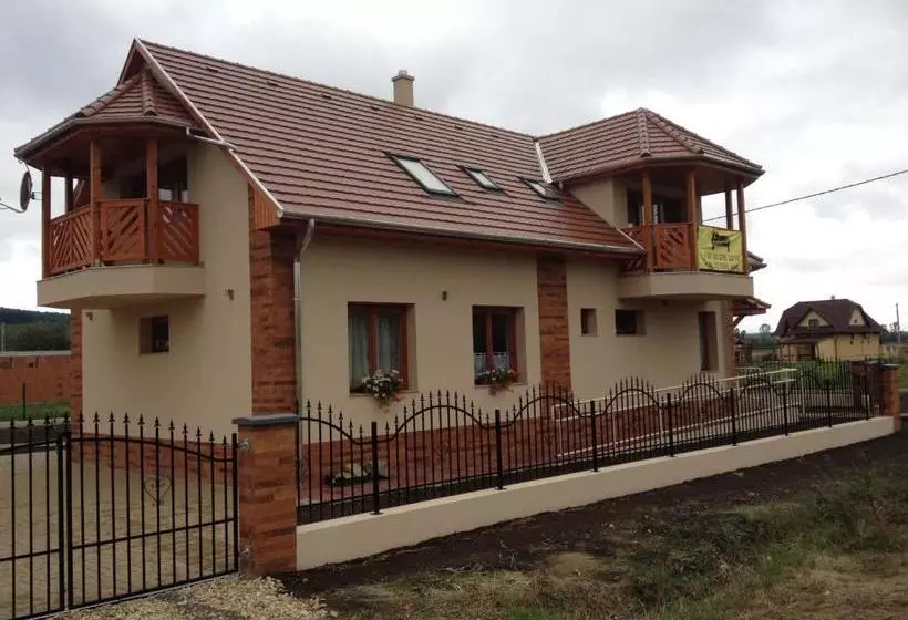 ペンション Vidor Vendégház