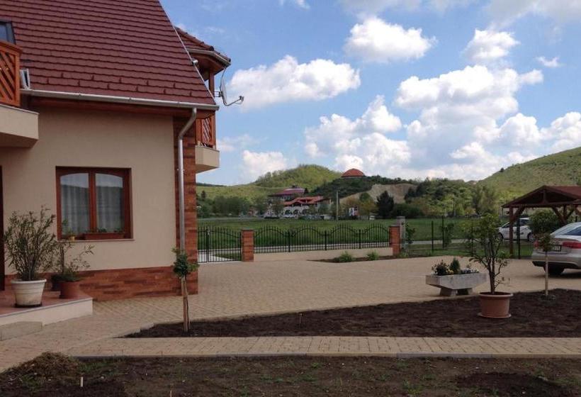 Pension Vidor Vendégház