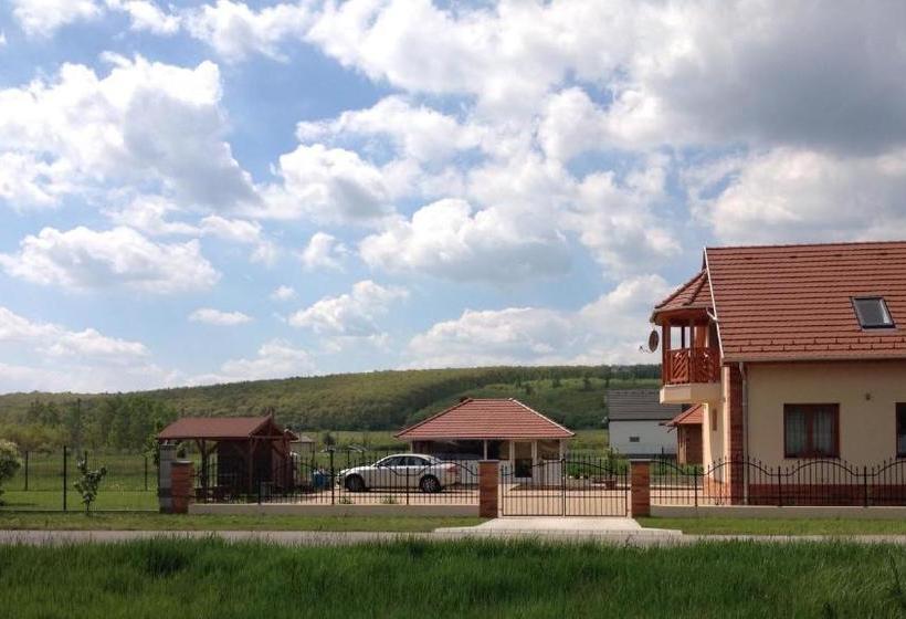 Pension Vidor Vendégház