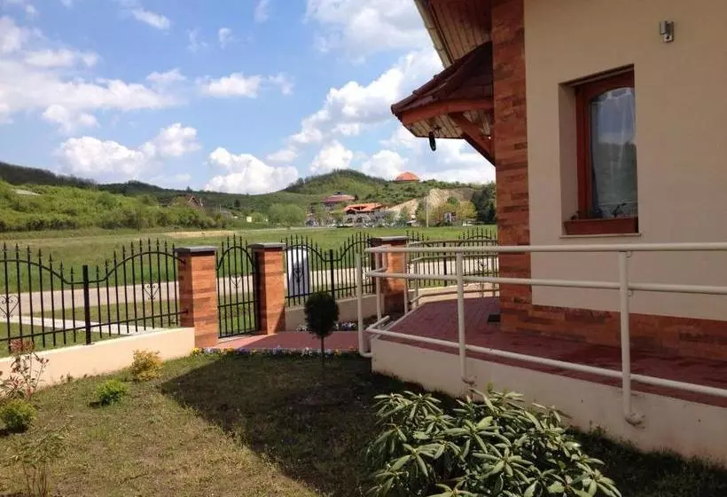 ペンション Vidor Vendégház