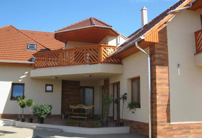 Pension Vidor Vendégház