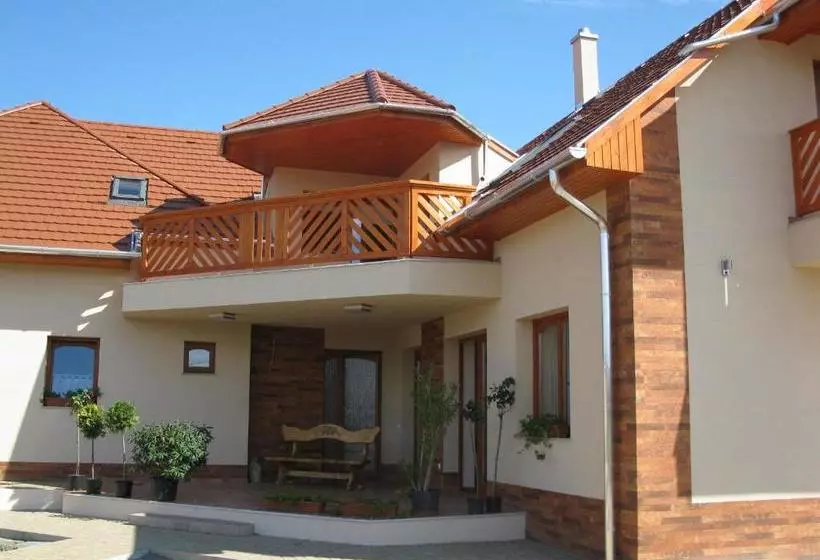 ペンション Vidor Vendégház