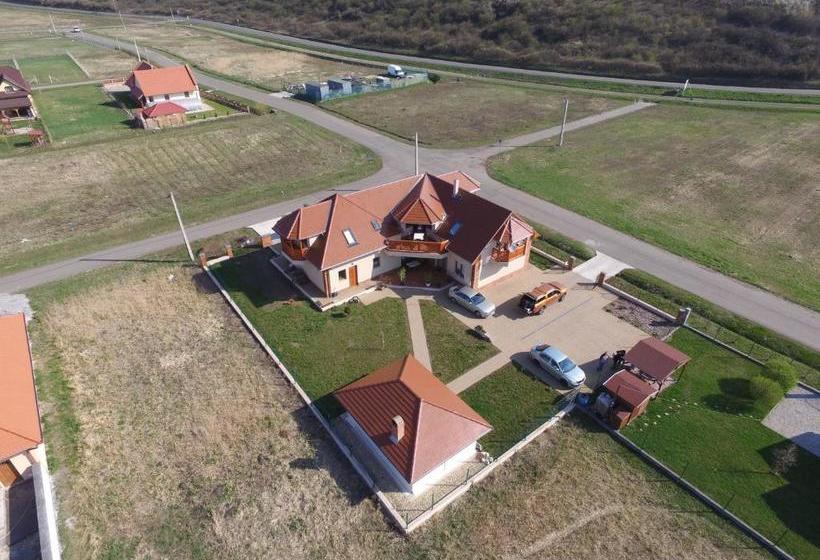 Pension Vidor Vendégház