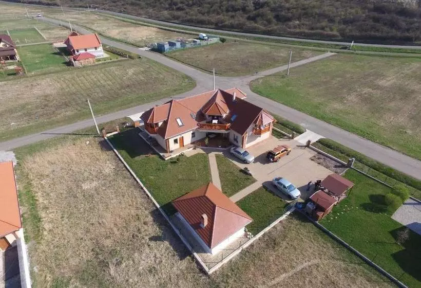 ペンション Vidor Vendégház