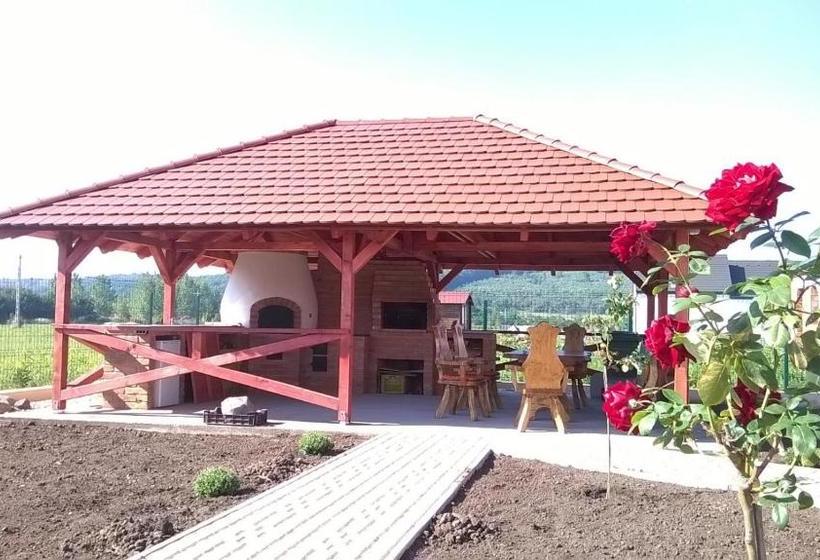 Pension Vidor Vendégház