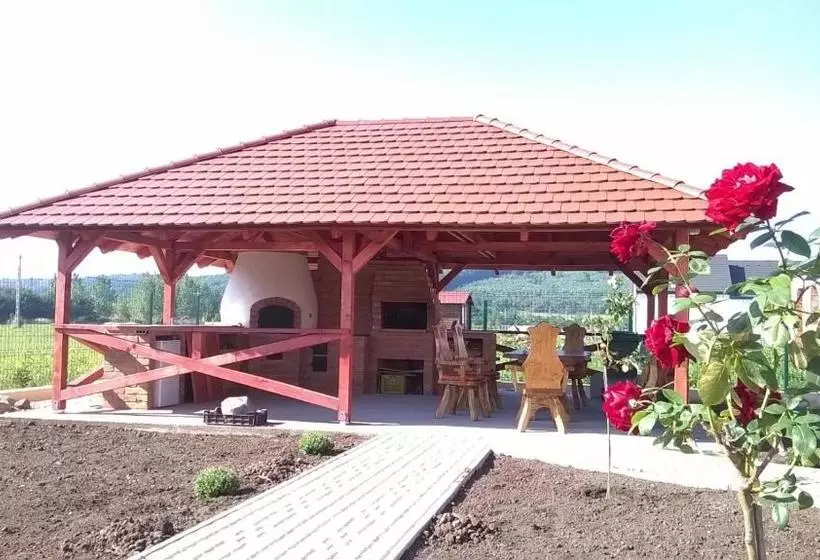 ペンション Vidor Vendégház