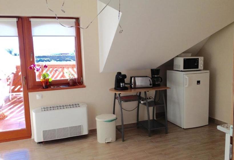 Pension Vidor Vendégház