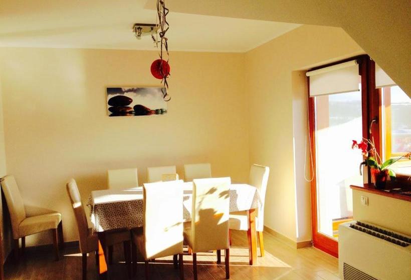 Pension Vidor Vendégház