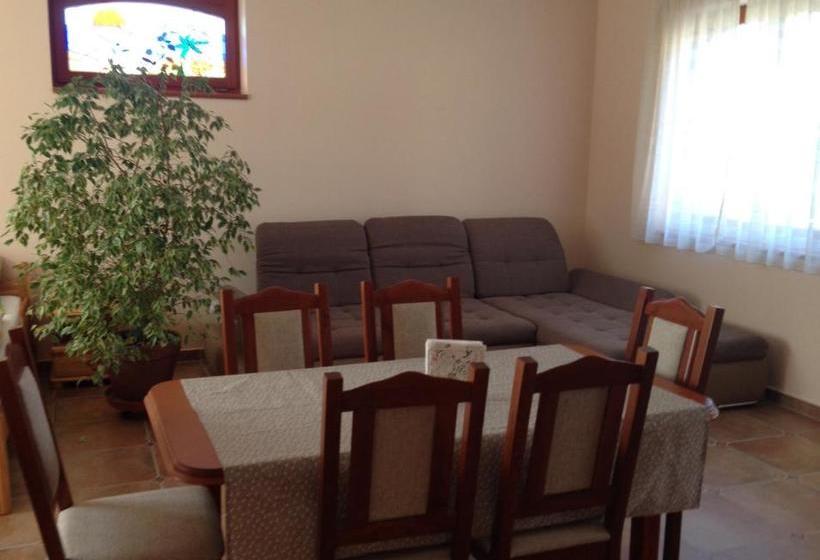 Pension Vidor Vendégház