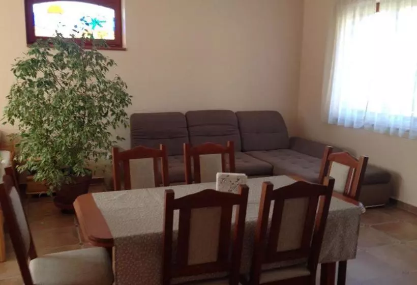 ペンション Vidor Vendégház