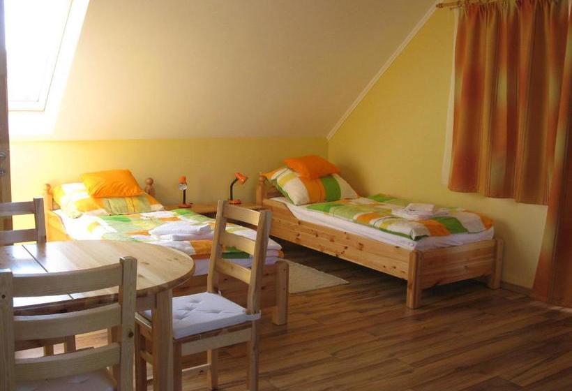 Pension Vidor Vendégház