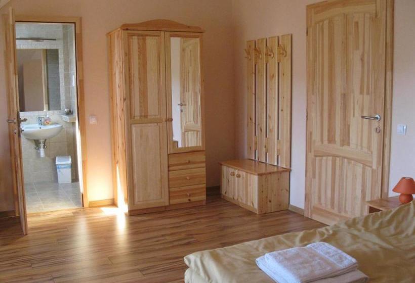 Pension Vidor Vendégház