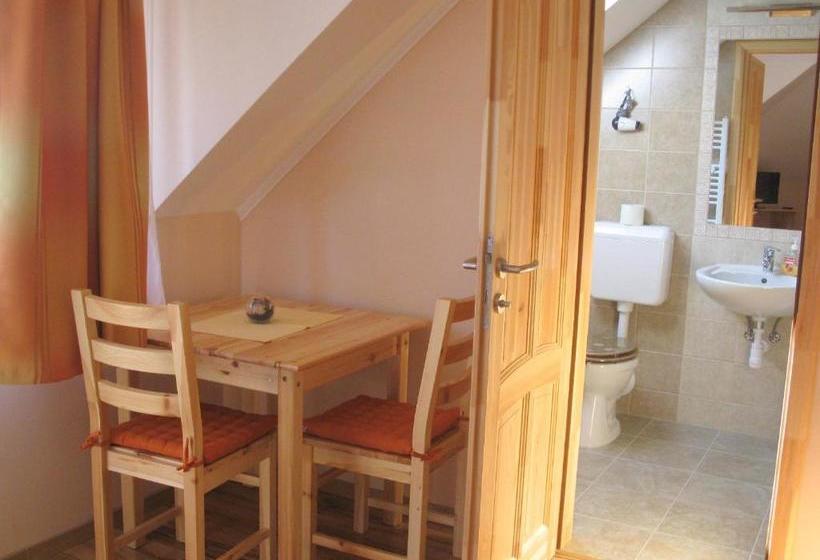 Pension Vidor Vendégház