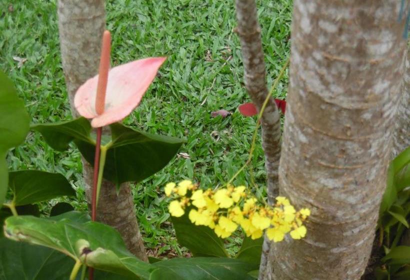 Hostel Morada Dos Ventos