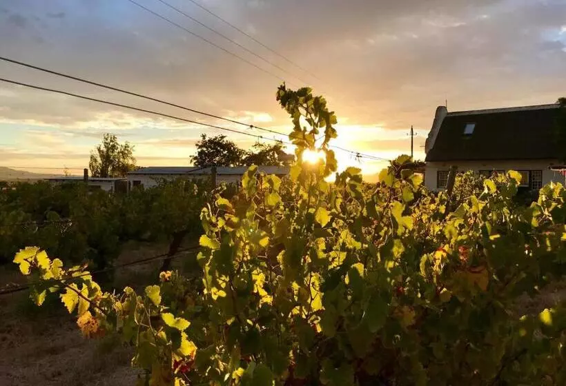 ホテル Jacaranda Wine And Guestfarm