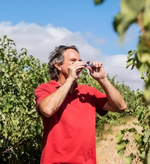 ホテル Jacaranda Wine And Guestfarm