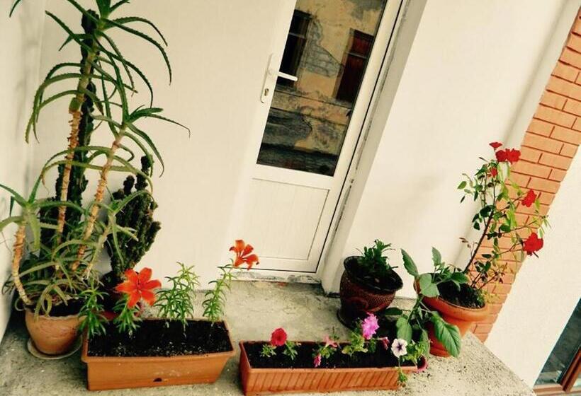 پانسیون Erik's Guest House