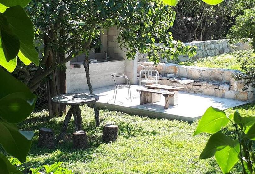 پانسیون Apartments And Rooms Minex