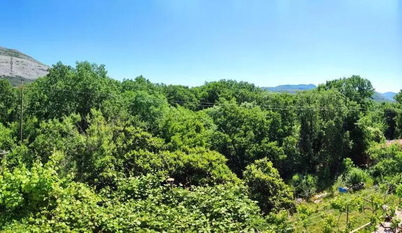 پانسیون Apartments And Rooms Minex