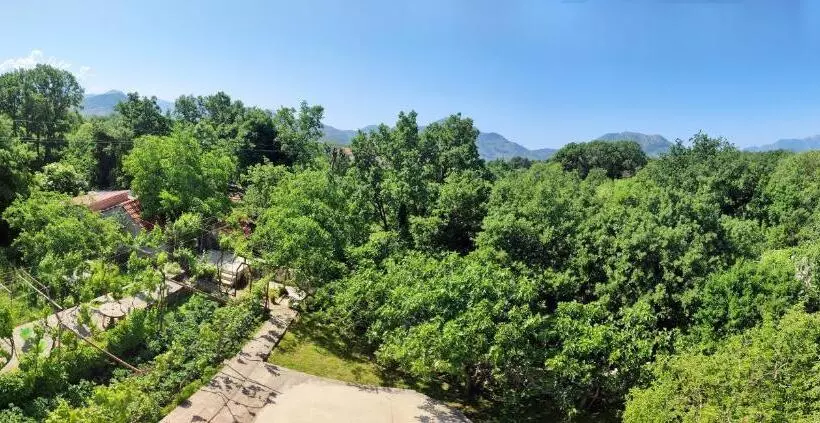 پانسیون Apartments And Rooms Minex