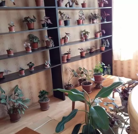 پانسیون Guest House Medea