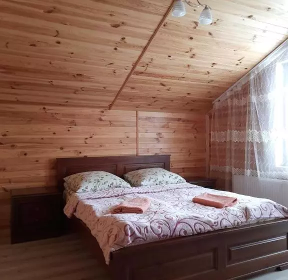 پانسیون Guest House Stari Druzy