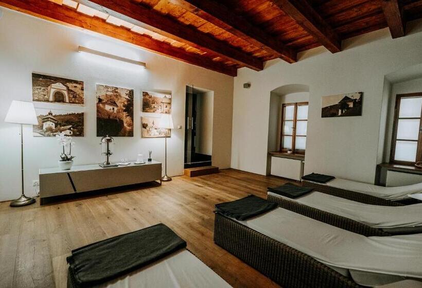 بنسيون Penzión Banský Dom