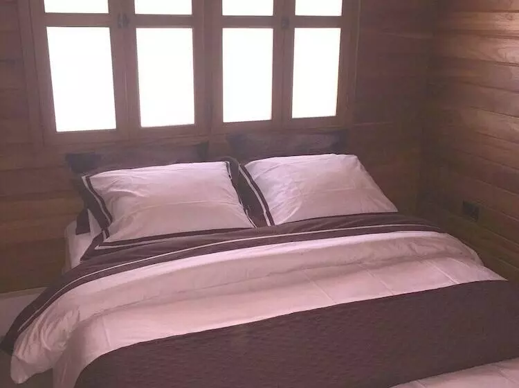 Casa Aura: Beachfront Premium Hostel