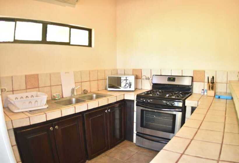 Casa Aura: Beachfront Premium Hostel