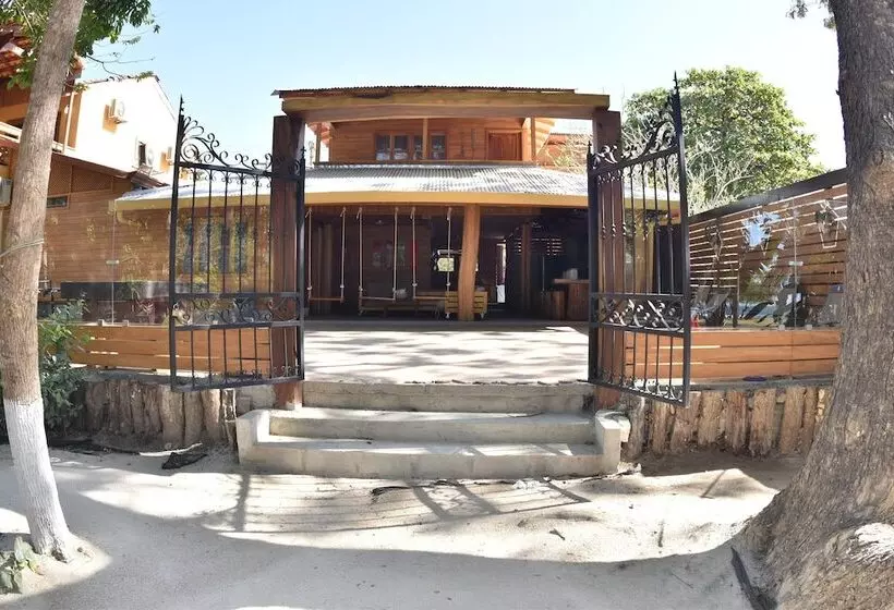 Casa Aura: Beachfront Premium Hostel