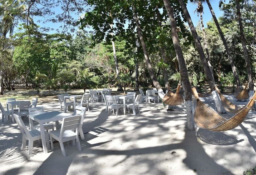 Casa Aura: Beachfront Premium Hostel