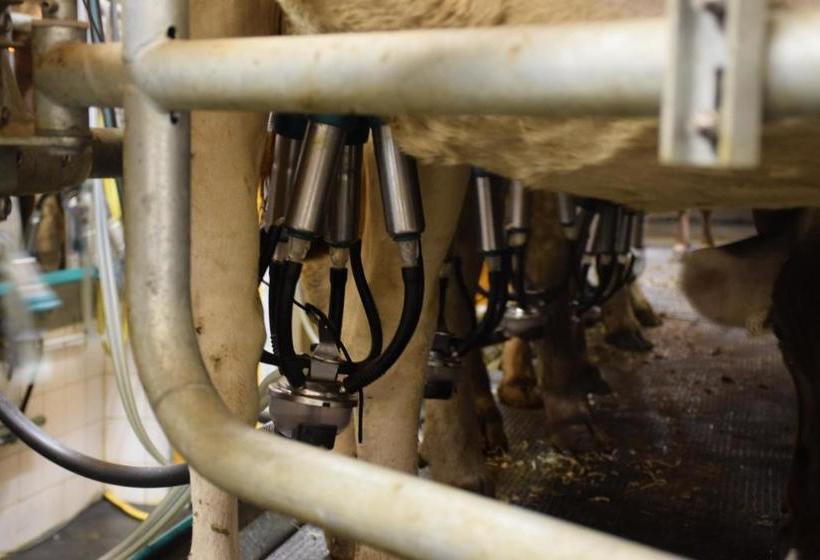 فندق Ferienwohnungen Reinalter