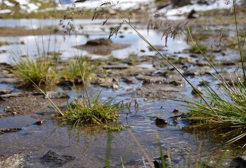 فندق Ferienwohnungen Reinalter