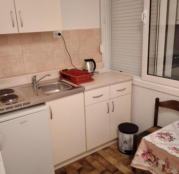 پانسیون Apartments Gvozdenović