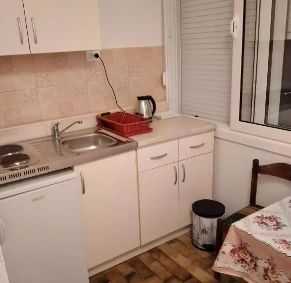پانسیون Apartments Gvozdenović