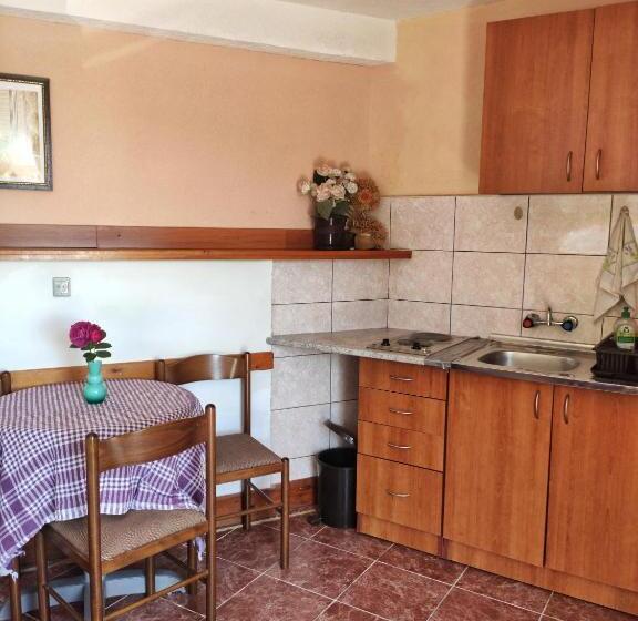 پانسیون Apartments Gvozdenović