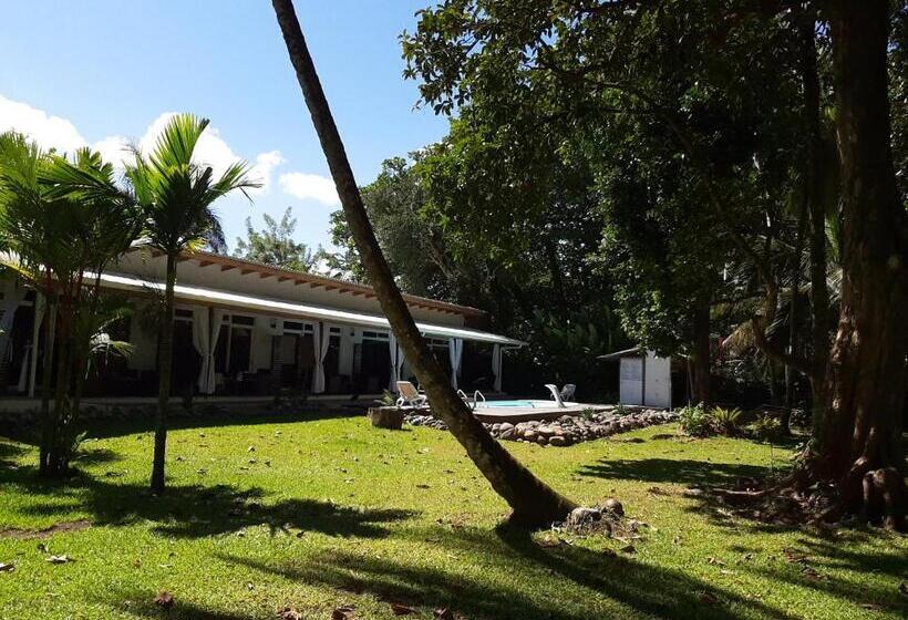 پانسیون Cahuita Inn